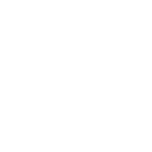 Identification des dégâts
